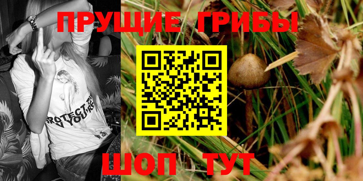 Сланцы  Псилоцибиновые грибы ЛСД  Галлюциногенные грибы ЛСД  Вход с VPN 
